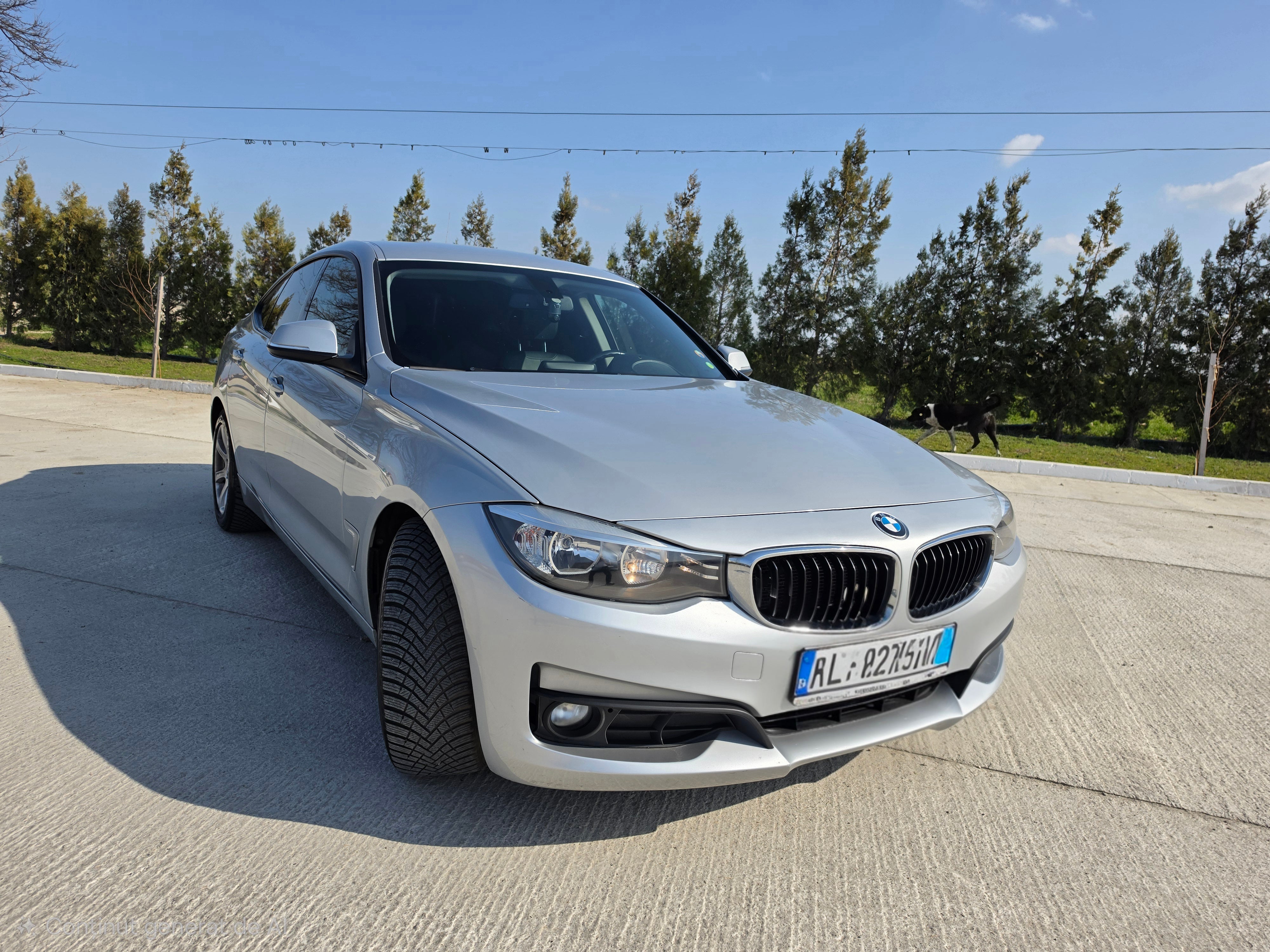 BMW Seria 3 GT F34 318d 184CP 2014