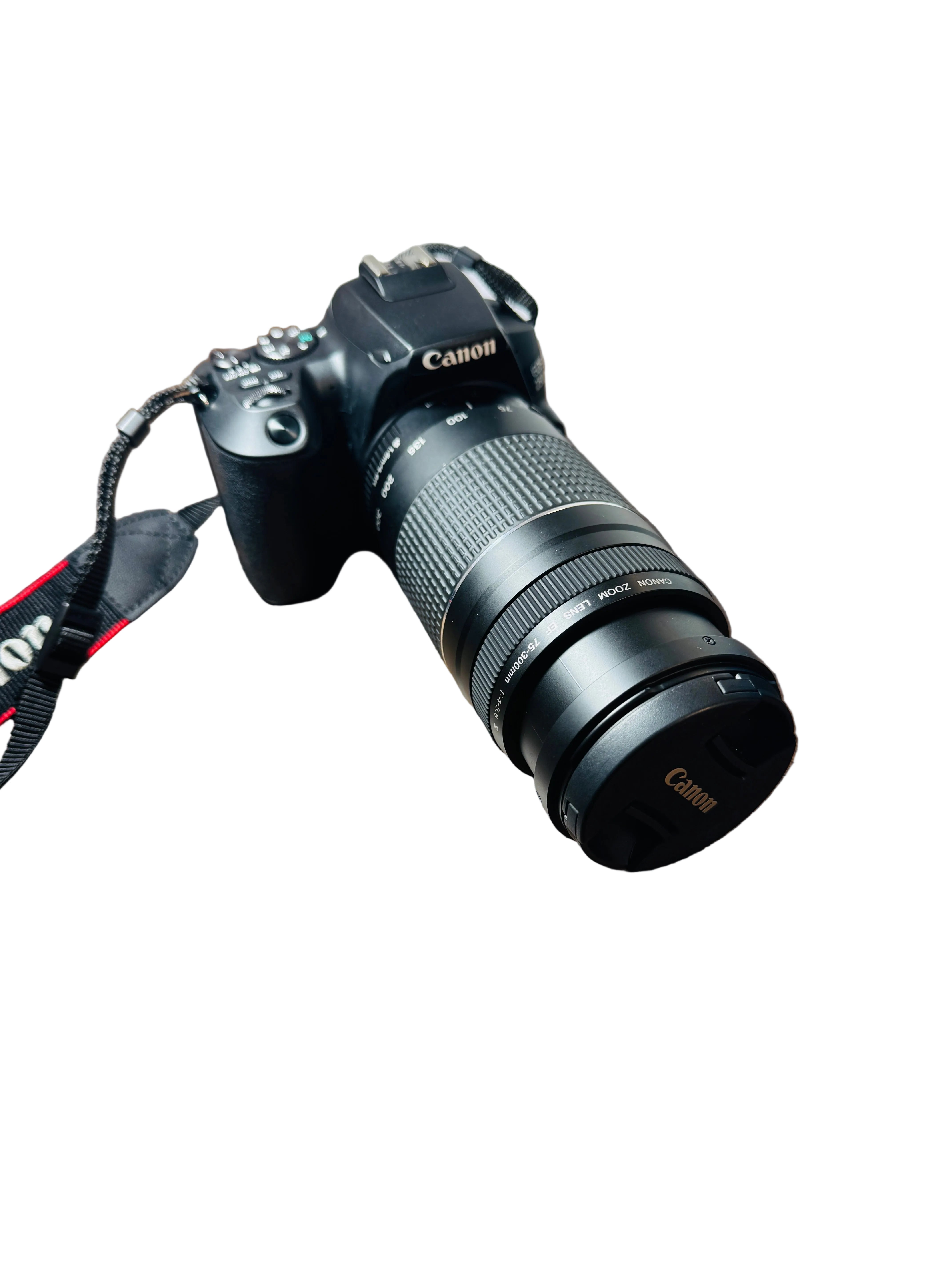 CANON EOS 250D OBIECTIV 75-300mm /18=55MM