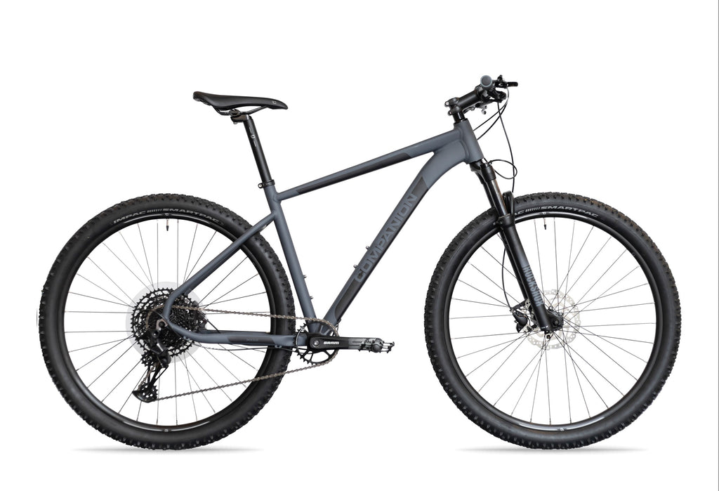 Bicicleta MontainBike Companion M4.0