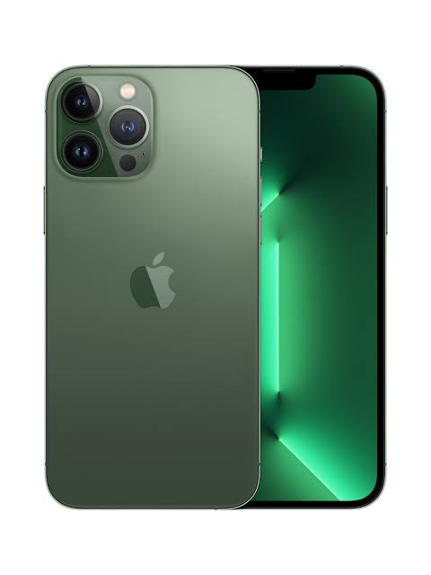Apple i-Phone 13 Pro Max